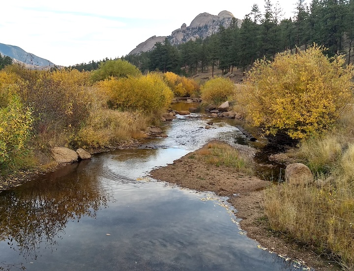 a small creek in a Colorado mountain valley with plant life on its banks