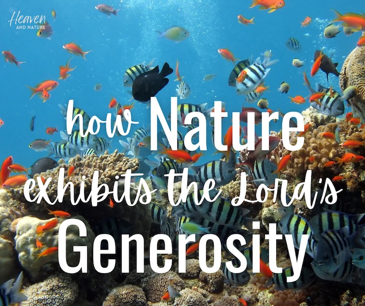 "How Nature exhibits the Lord's Generosity" with image of a bunch of different tropical fish swimming in a coral reef