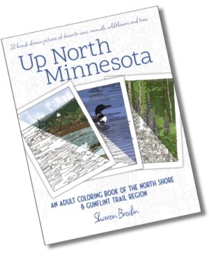 Up North MN cover