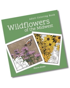 Wildflowers of the Midwest cover