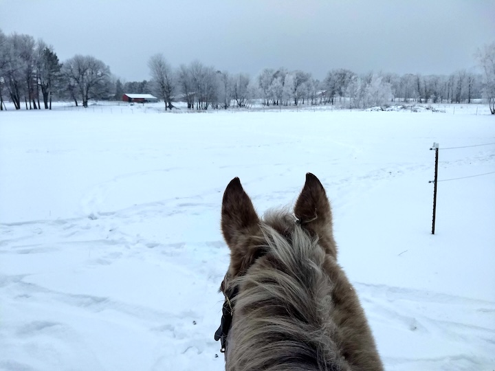 view from a horse's back, a farm in the winter with snow on the ground